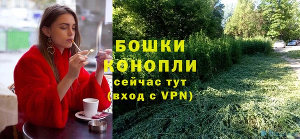 трава Бородино