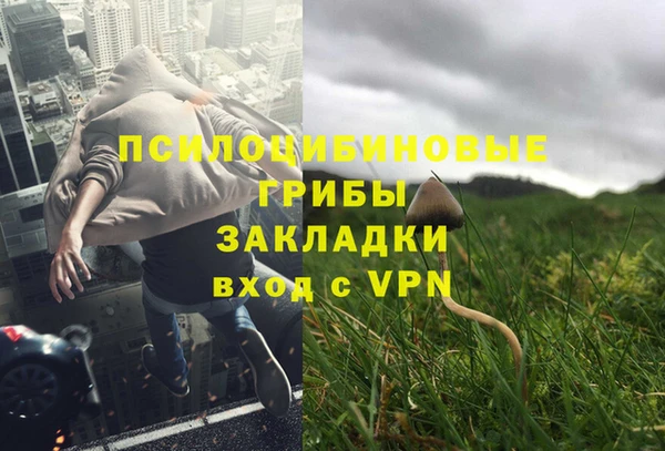 трава Бородино