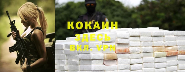 трава Бородино