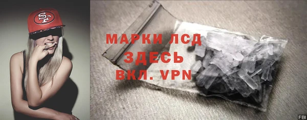 индика Няндома