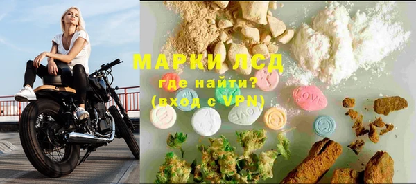 трава Бородино