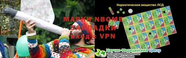 трава Бородино
