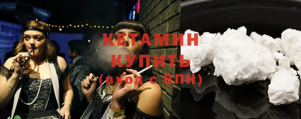 индика Няндома