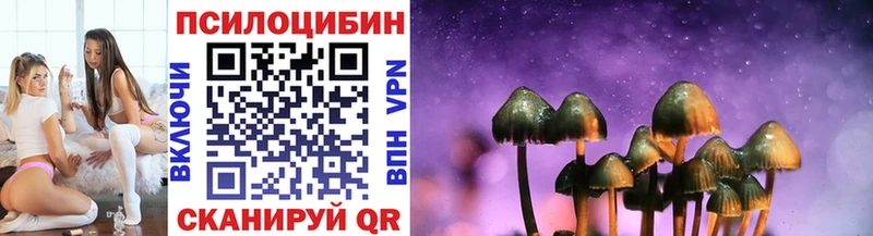 где можно купить   Липки  Псилоцибиновые грибы мицелий 